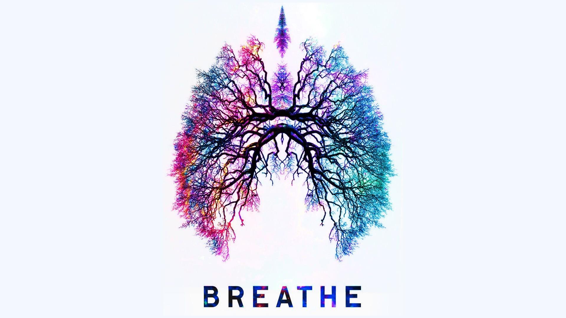 تصویر گرافیکی ریه‌ها در دستگاه تنفسی