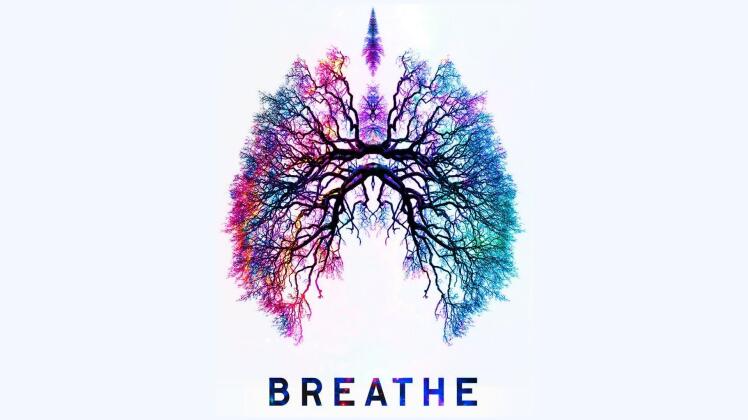دستگاه تنفسی (Respiratory System)